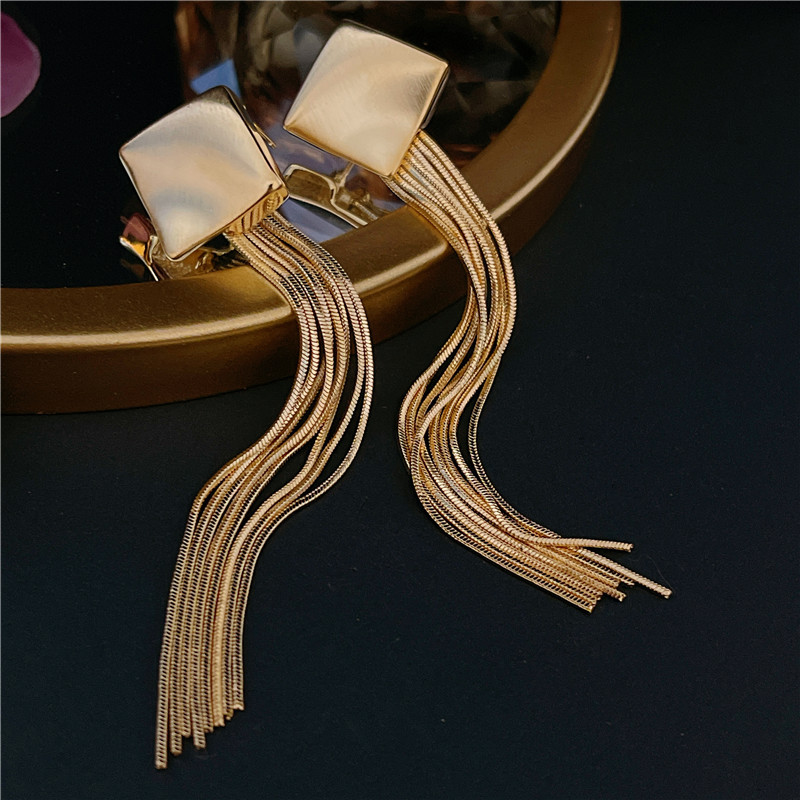 Fashion High Sense star same style brushed geometric long tassel niche earrings earrings popular