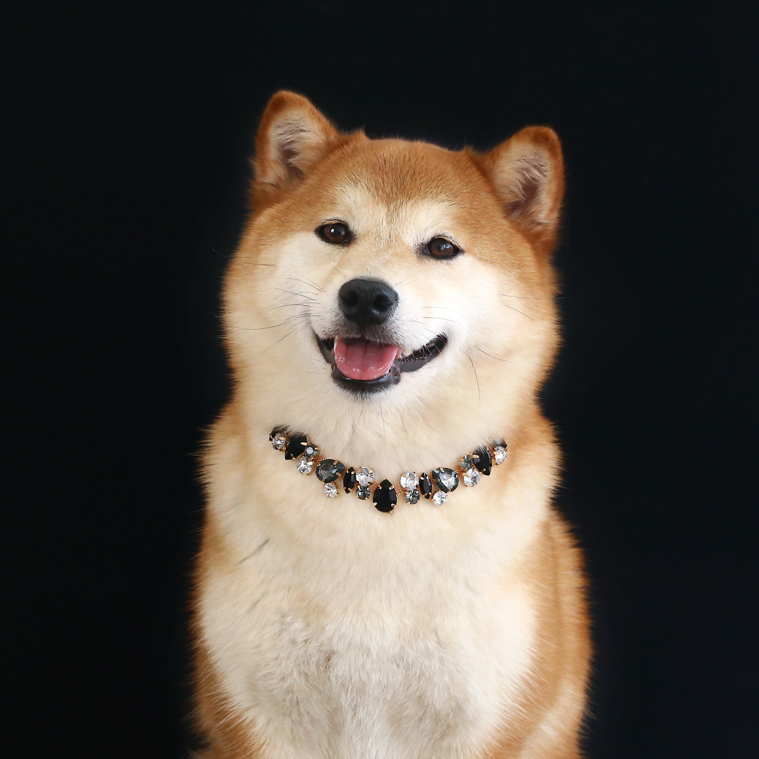 Foreign trade pet gem crystal chain necklace cat dog luxury diamond princess water drop metal wedding collar